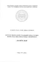 prikaz prve stranice dokumenta Sustavi motivacije i nagrađivanja u svrhu poticanja organizacijske uspješnosti
